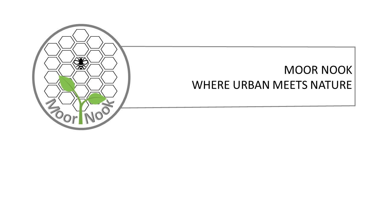 Moor Nook Allotments